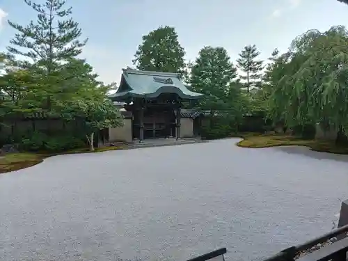 高台寺（高台寿聖禅寺・高臺寺）(京都府)