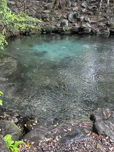 泉神社(茨城県)