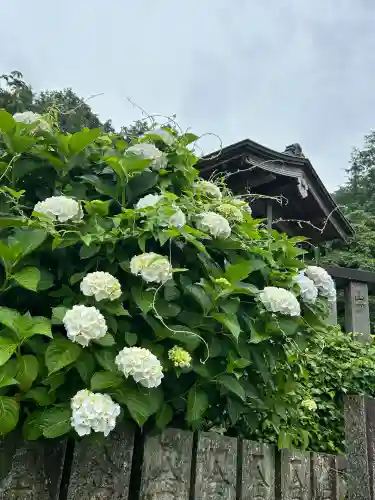 粟井神社(香川県)