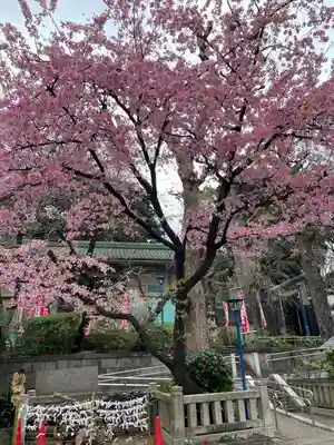 五條天神社(東京都)
