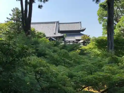 東福禅寺（東福寺）の周辺