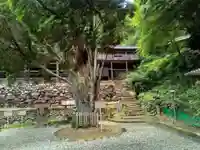 日龍峯寺(高澤観音)(美濃清水)のその他建物