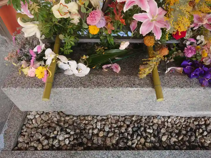 生田神社の{uncategorized: "未分類", other: "その他", undefined: "問題あり", building: "その他建物", grave: "お墓", sacred_gate: "鳥居", guardian: "狛犬", statue: "像", buddha: "仏像", history: "歴史", nature: "自然", garden: "庭園", animal: "動物", pagoda: "塔", temizu: "手水舎", mountain_gate: "山門・神門", sanctuary: "本殿・本堂", subordinate: "末社・摂社", art: "芸術", scenery: "景色", jizo: "地蔵", ema: "絵馬", goshuin: "御朱印", omikuji: "おみくじ", items: "授与品その他", amulet: "お守り", goshuincho: "御朱印帳", eats: "食事", festival: "お祭り", votive_dance: "神楽", shichigosan: "七五三参", wedding: "結婚式", experience: "体験その他", initially: "初詣", around: "周辺", anti_infection: "感染症対策"}