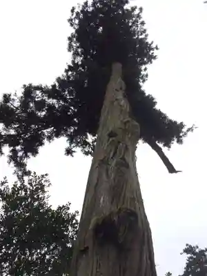 須我神社(島根県)