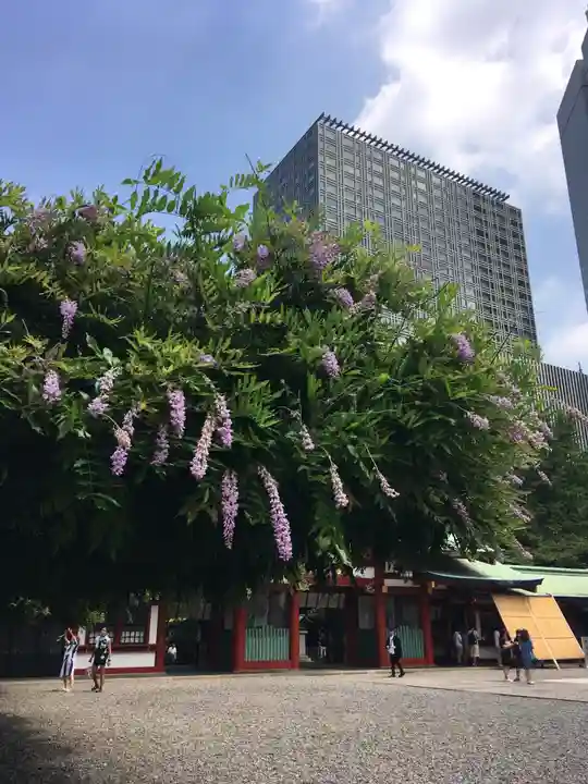 日枝神社の庭園
