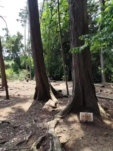 鞍馬寺奥の院 魔王殿(京都府)