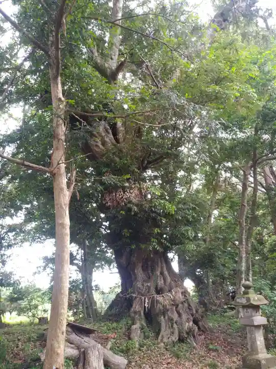 鉾山神社の自然
