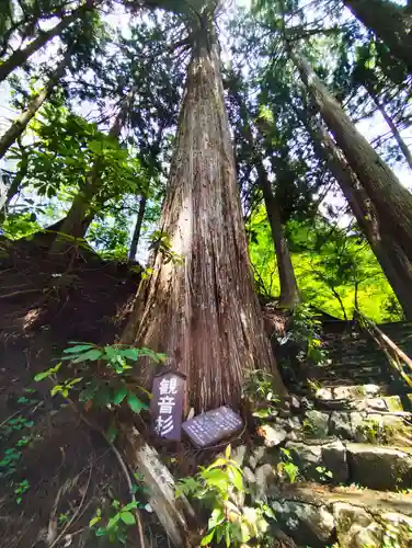 瑠璃寺(兵庫県)