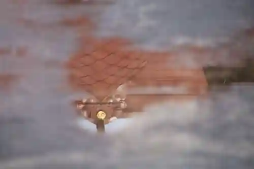 大鏑神社の自然