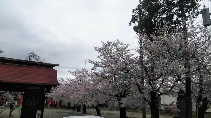 石和八幡宮(官知物部神社)の自然