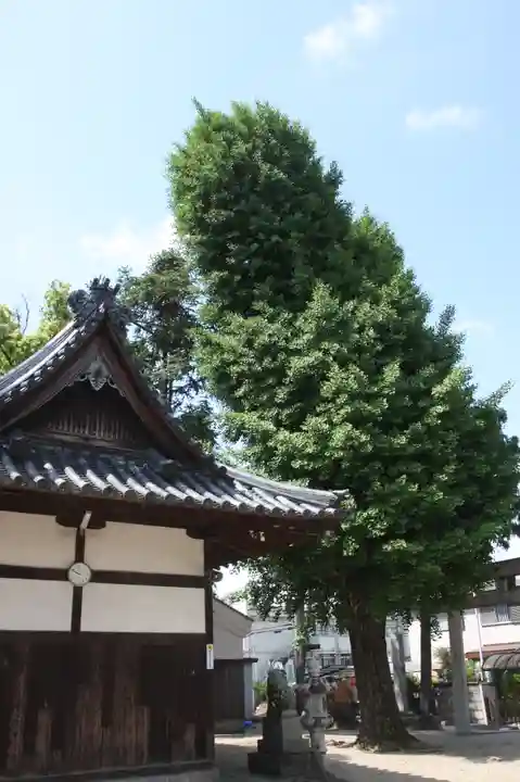 八阪神社・千代神社(奈良県)