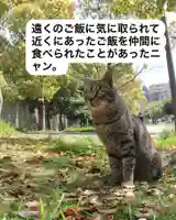 専念寺(大阪府)