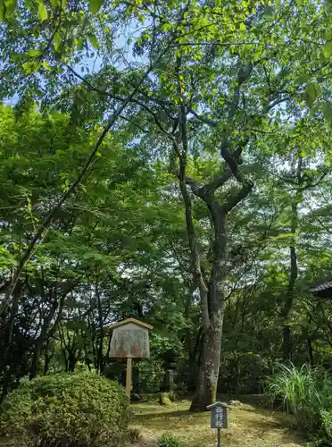 勝持寺（花の寺）(京都府)
