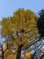 熊野神社(東京都)