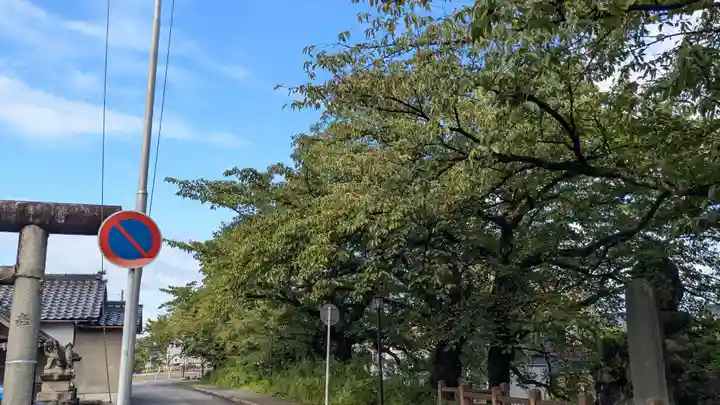 金刀比羅神社の自然