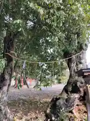 日吉神社(兵庫県)