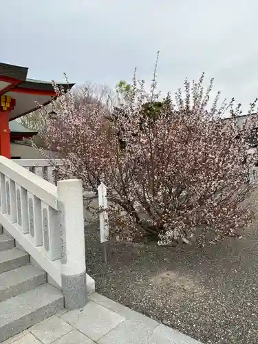 樽前山神社の自然