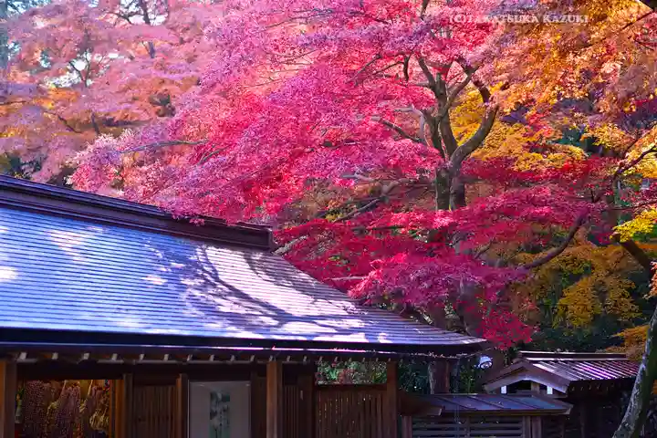 高幡不動尊 金剛寺(東京都)