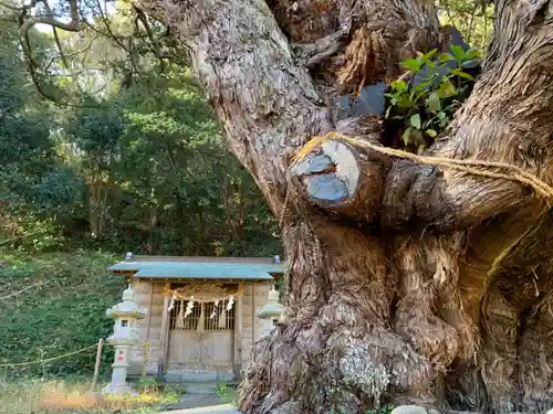 十二天神社の自然