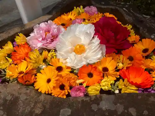 真言宗　善通寺派　薬王寺(香川県)