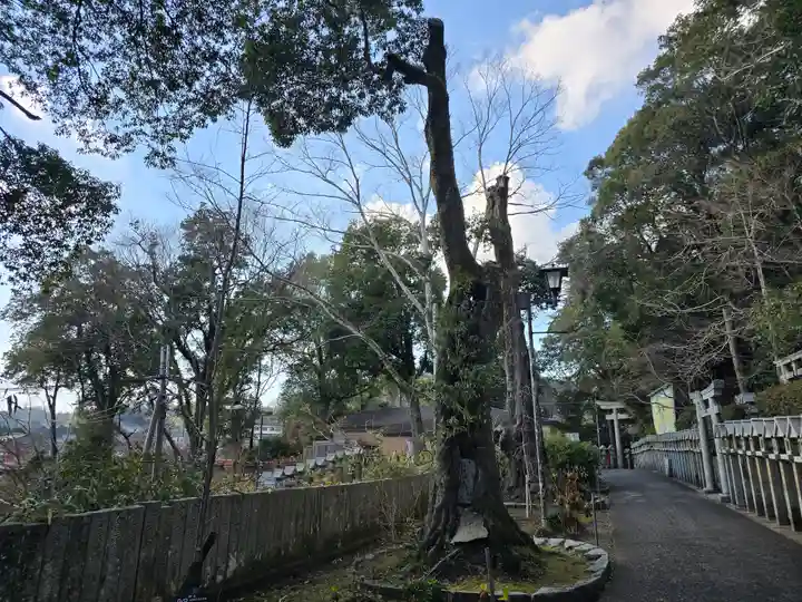 猪上神社(奈良県)