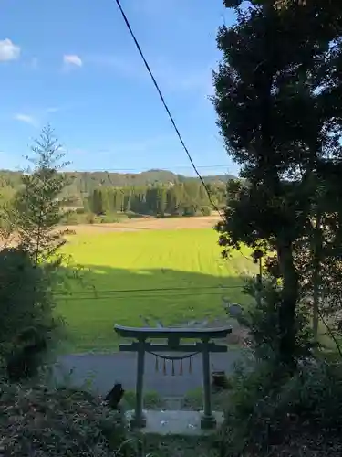 諏訪神社の鳥居