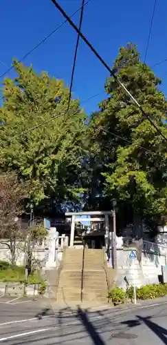 矢切神社の鳥居