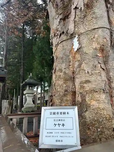住吉神社(岩手県)