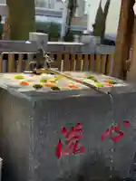 高円寺氷川神社(東京都)