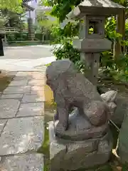 太融寺の狛犬