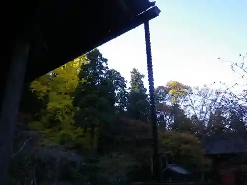 妙本寺(神奈川県)