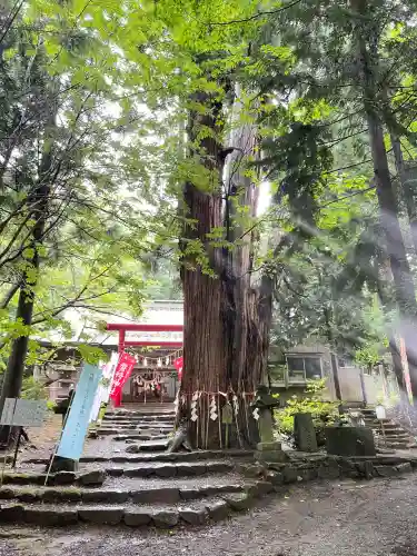 磐椅神社(福島県)
