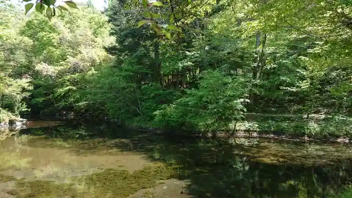 稲荷社(忍野八海 出口池)の自然