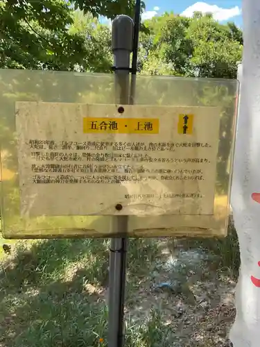 白美龍神社の自然