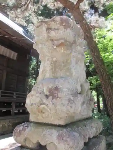 河口浅間神社の狛犬