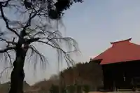 正観音堂の本殿・本堂