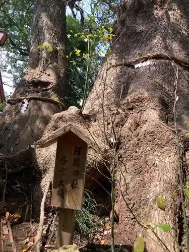 今宮神社(静岡県)