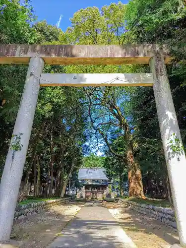 神明社（外坪神明社）の鳥居