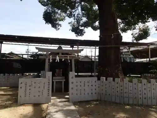 阿麻美許曽神社の鳥居