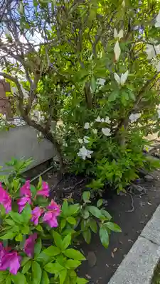 剣神社(京都府)