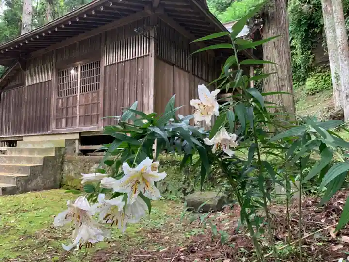 木幡神社の自然