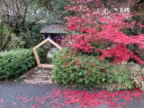 阿佐ヶ谷神明宮(東京都)
