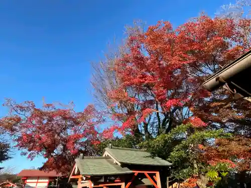 車折神社の{uncategorized: "未分類", other: "その他", undefined: "問題あり", building: "その他建物", grave: "お墓", sacred_gate: "鳥居", guardian: "狛犬", statue: "像", buddha: "仏像", history: "歴史", nature: "自然", garden: "庭園", animal: "動物", pagoda: "塔", temizu: "手水舎", mountain_gate: "山門・神門", sanctuary: "本殿・本堂", subordinate: "末社・摂社", art: "芸術", scenery: "景色", jizo: "地蔵", ema: "絵馬", goshuin: "御朱印", omikuji: "おみくじ", items: "授与品その他", amulet: "お守り", goshuincho: "御朱印帳", eats: "食事", festival: "お祭り", votive_dance: "神楽", shichigosan: "七五三参", wedding: "結婚式", experience: "体験その他", initially: "初詣", around: "周辺", anti_infection: "感染症対策"}