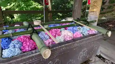 唐澤山神社(栃木県)