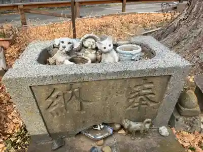 杉山社（上星川鎮守）の{uncategorized: "未分類", other: "その他", undefined: "問題あり", building: "その他建物", grave: "お墓", sacred_gate: "鳥居", guardian: "狛犬", statue: "像", buddha: "仏像", history: "歴史", nature: "自然", garden: "庭園", animal: "動物", pagoda: "塔", temizu: "手水舎", mountain_gate: "山門・神門", sanctuary: "本殿・本堂", subordinate: "末社・摂社", art: "芸術", scenery: "景色", jizo: "地蔵", ema: "絵馬", goshuin: "御朱印", omikuji: "おみくじ", items: "授与品その他", amulet: "お守り", goshuincho: "御朱印帳", eats: "食事", festival: "お祭り", votive_dance: "神楽", shichigosan: "七五三参", wedding: "結婚式", experience: "体験その他", initially: "初詣", around: "周辺", anti_infection: "感染症対策"}