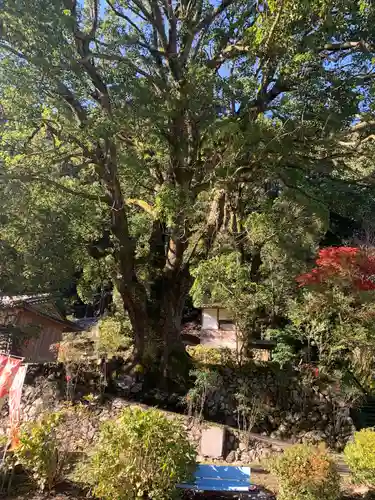 流谷八幡神社(大阪府)