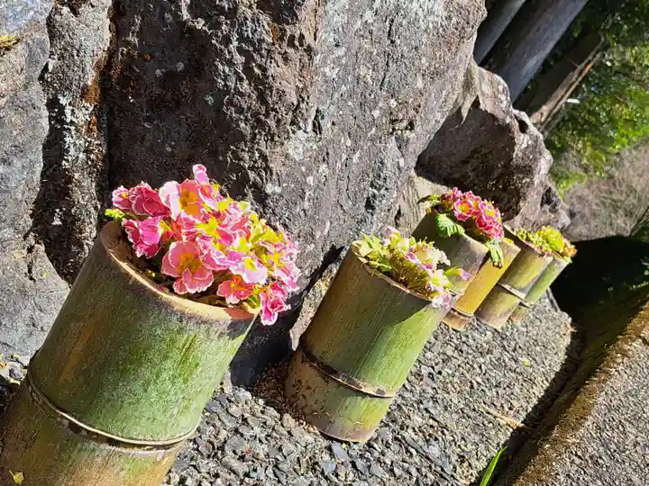 須山浅間神社(静岡県)