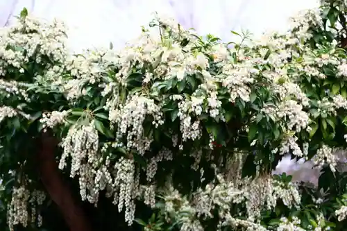 熊野福藏神社の庭園