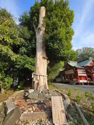 鹿嶋神社(茨城県)