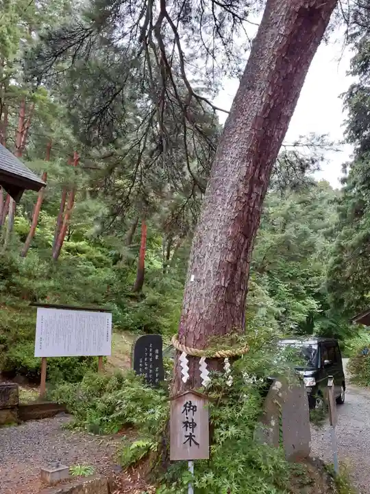 建勲神社の自然